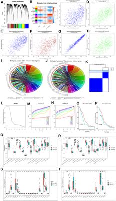 The Role of m6A Regulator-Mediated Methylation Modification and Tumor Microenvironment Infiltration in Glioblastoma Multiforme